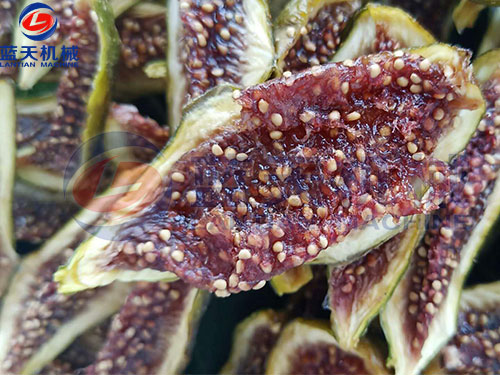 家用水果烘干機多少錢一臺？